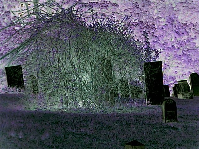 negativebush.jpg