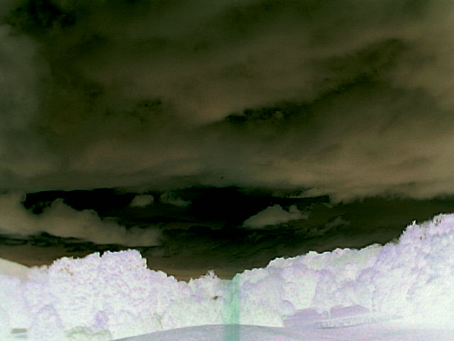 negativetreesandsky.jpg