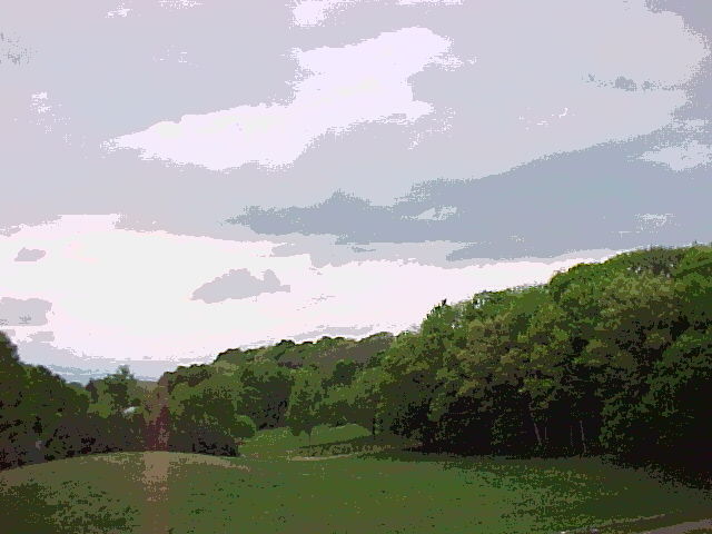 solarizedtreesandsky.jpg